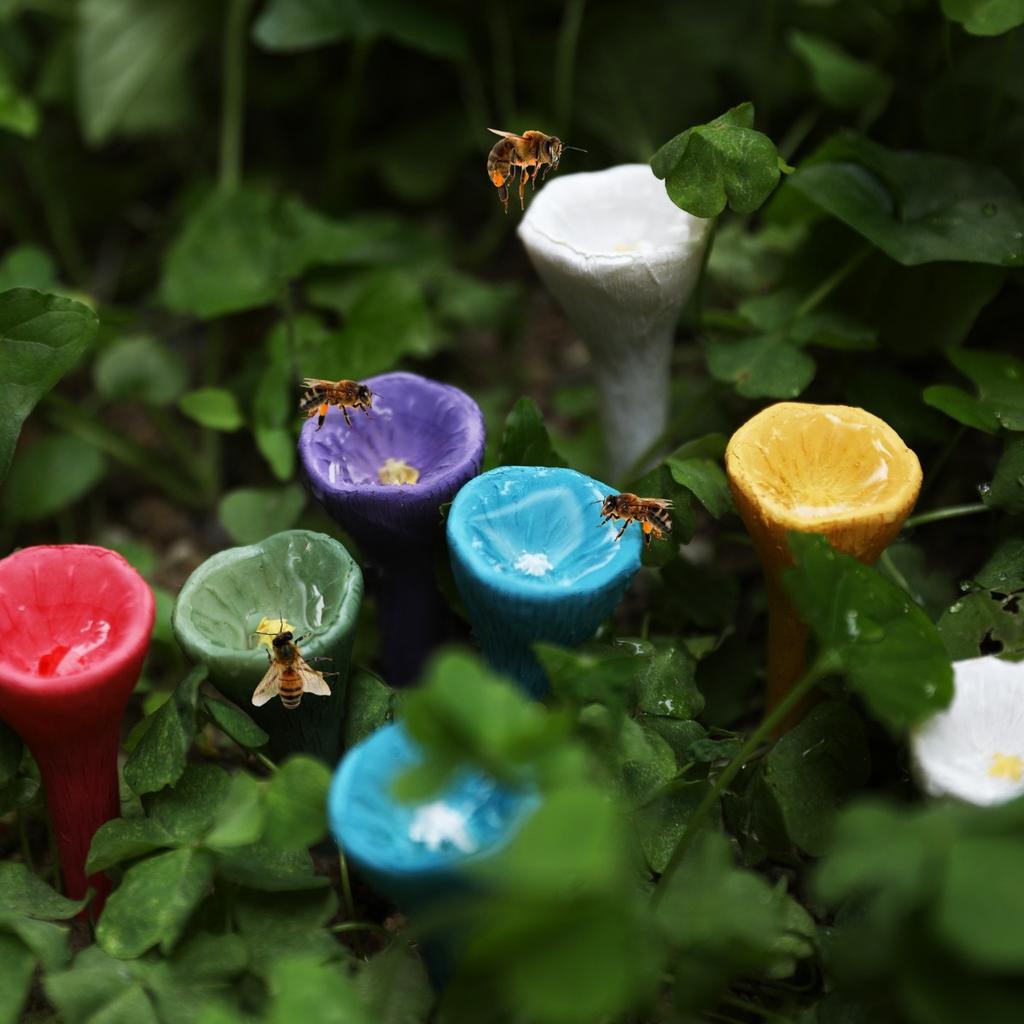 Пчелиные чашки для сада, станция поения пчел, пчелиные чашки с водой для пчел в саду, поилка для пчел, красочная мини-поилка для садовых веранд