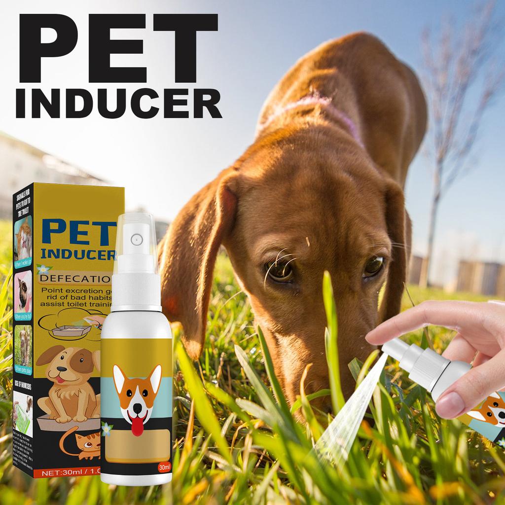 30ml Pet Positioning Defecation Inducer Spray for Designated Potty Area Toilet Training Potty Training Spray