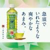 Coca-Cola Ayataka Tea Leaf Sweet 525ml PET X 24 Bottles
