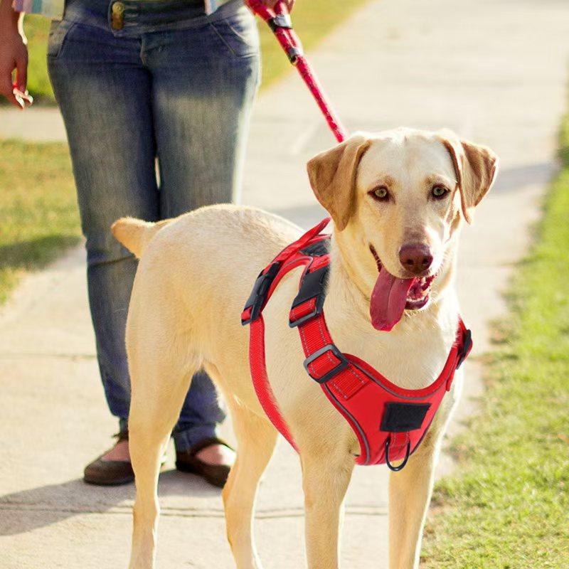 Шлейка для собак без тяги с защитным чехлом из силикона и локатором, противоскользящая, регулируемая, для средних и крупных собак