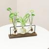 Террариум Креативный Гидропонный Растение Прозрачная Ваза, Деревянная Рама, Стеклянная Столешница, Бонсай Декор, Цветочная Ваза