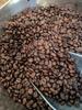 Mocha Coffee Beans from Yemen Haraj 500g Beans Are Medium Ground