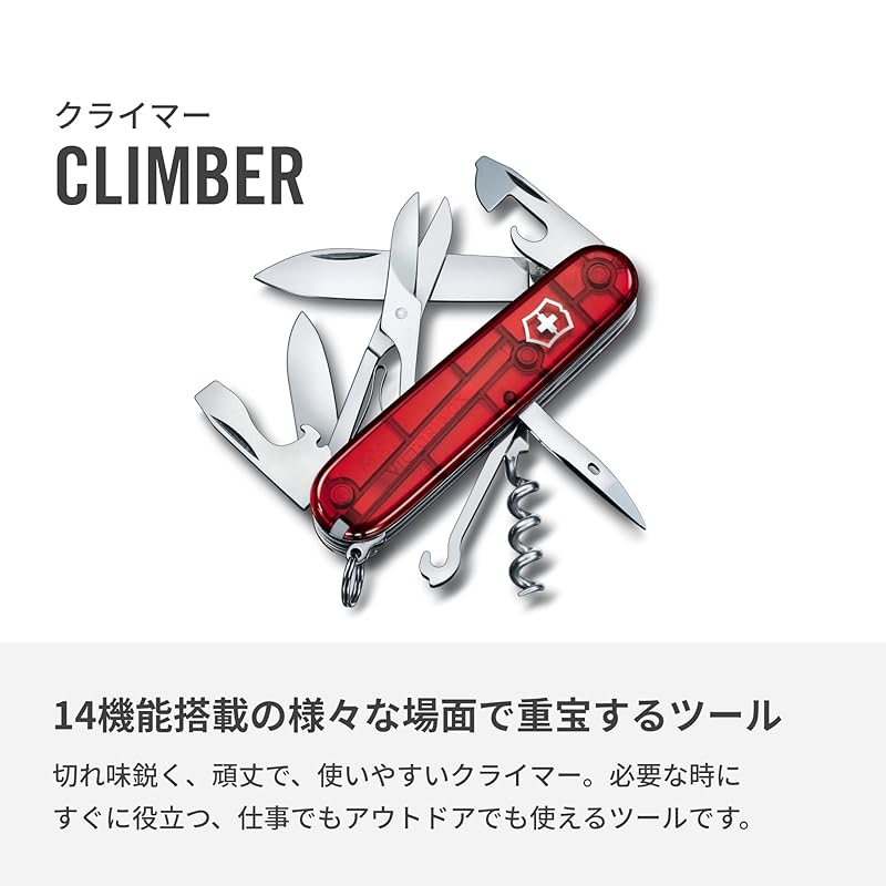 VICTORINOX Cyber Traveler T (1.3703.Т)