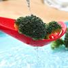 2Pcs Heat Insulated Handle Filter Spoon Uniform Filter Holes Draining Skimmer Sieve Spoon  Filtering