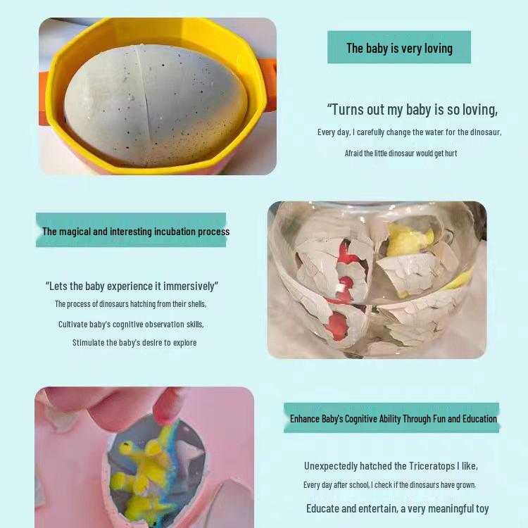 Dinosaur Egg Water-Expanding Toy - Hatching Animal Model for Kids