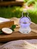 Rechargeable Retro Multi-functional Camping Tent Lamp