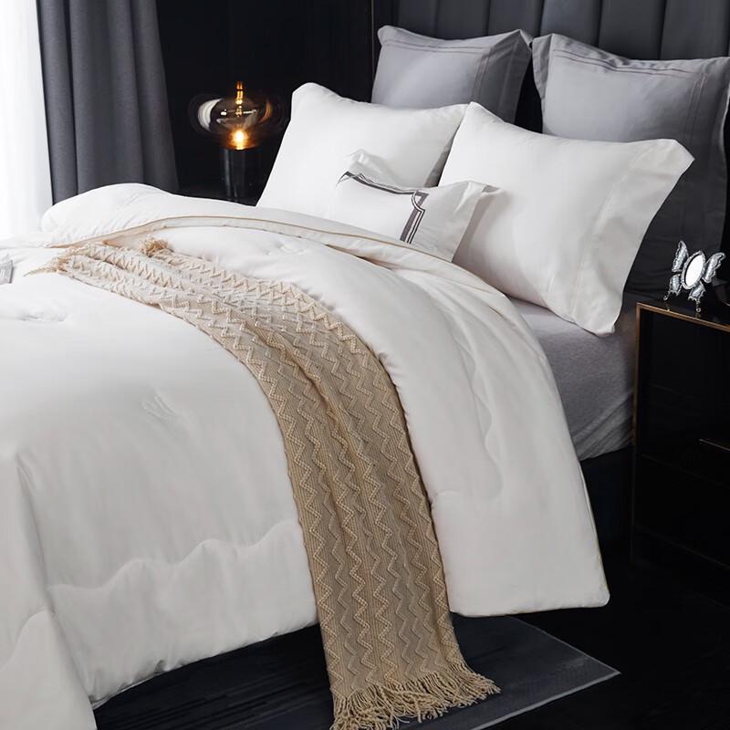 Premium Soy Fiber Antibacterial All-Season Quilt