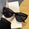 Fashion Cat Eye Sunglass Trendy Female Eyewear Luxury Irregular Frame Popular Women Travelling Sun Glasses Lentes  Mujer