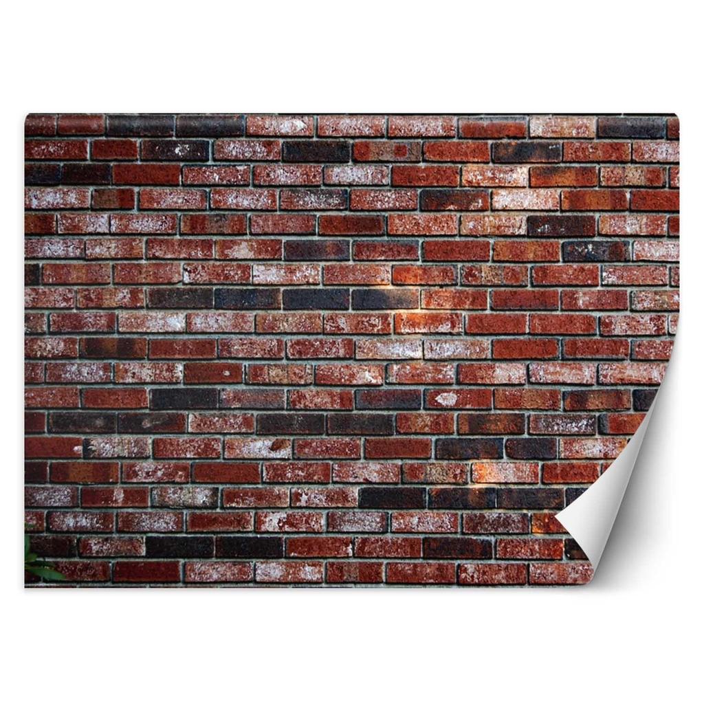 Wallpaper Red Brick Brick Wall