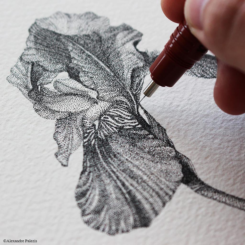 Rotring Isograph IPL 1903394 Genuine 0.1mm [Japanese Product]