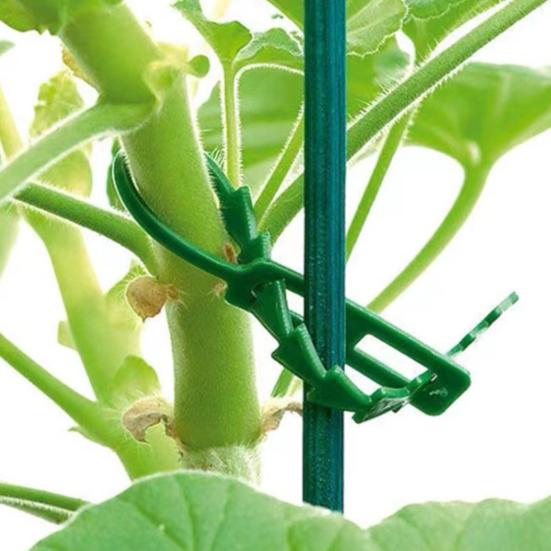 Регулируемые садовые стяжки, многофункциональные гибкие пластиковые стяжки-молнии, стяжки для организации кабелей, садовые опоры для растений, для вьющихся растений, кустарников