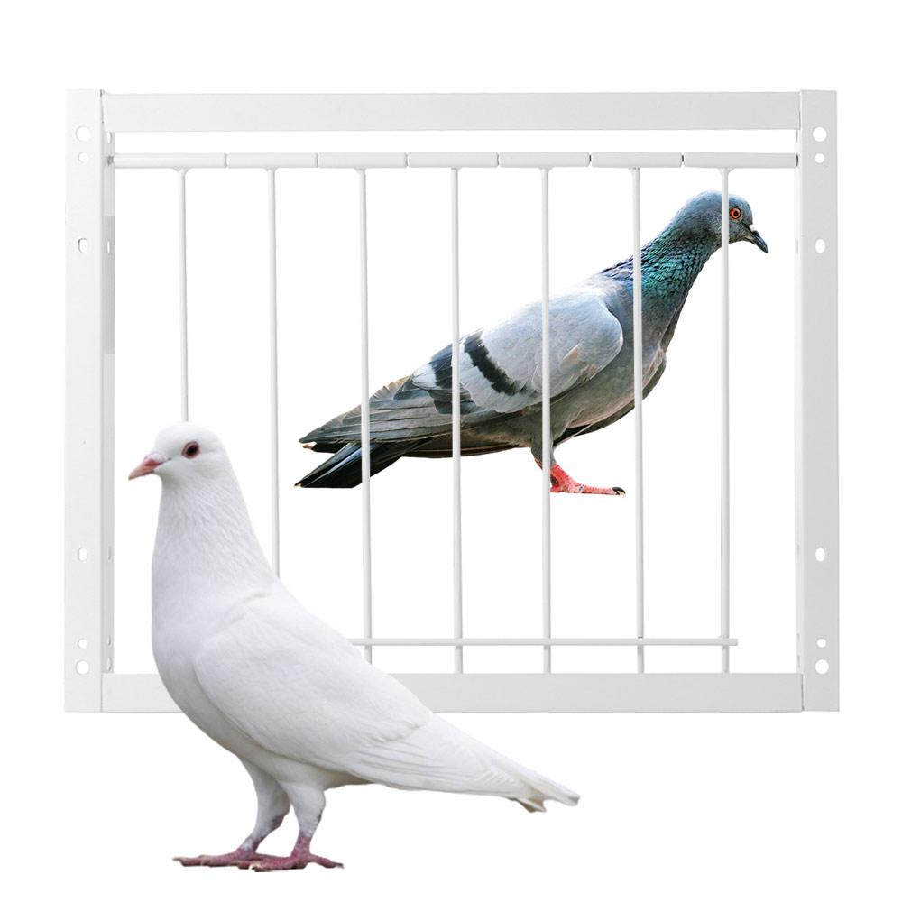 Single Entrance Pigeon Loft Door 30/40x26cm Trap Door Pigeon Entrance Door  Pigeon House