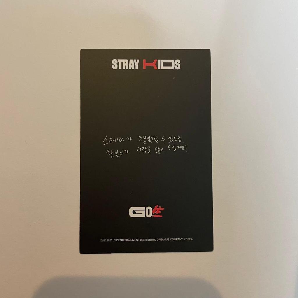 Straykids・феликс・go生・фотокарточка