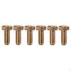 Iron Locked String Saddles Screws for Electric Guitar Pack of 6
