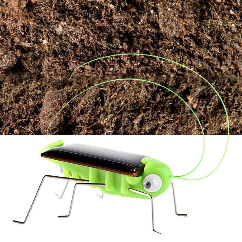 Solar Grasshopper Toy Puzzle Children Selected Gift Simulation Insect Gift Boys And Girls Science Education Funny Moving Toy Kid