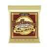 Ernie Ball Earthwood Light Gauge Bronze Acoustic Guitar Strings 2003 2004 2006 2008 GZW
