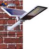 High-Brightness Solar LED Street Light