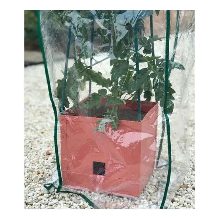 Net cover "Maxitom" for plant tower with trellis