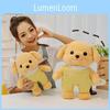 Adorable Plush Toy Poodle Doll For Kids Cute Baby Gifts Ideal For Birthdays