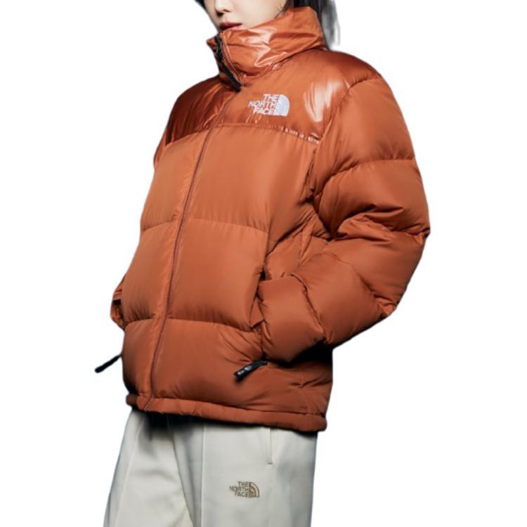 THE NORTH FACE 1996 Down Jacket Men's NJ1DP74B
