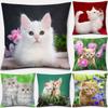 45x45cm Cute Cute Cat Series Decorative Pillowcase Living Room Sofa Office Seat Cushion Cover Home Decoration Hold Pillowcase