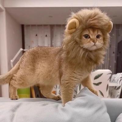 Шапка для домашней кошки Лев Головной убор Щенок Парик Льва Косплей Реквизит Хэллоуин Рождественская вечеринка Принадлежности для наряжания питомца