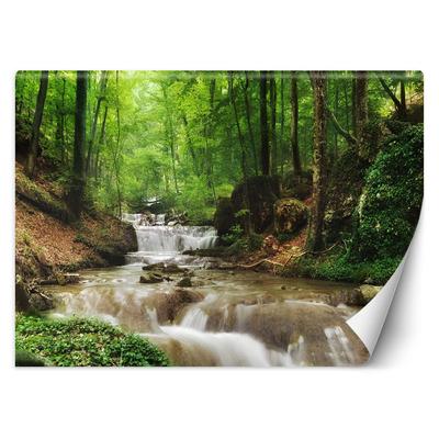 Обои Горный ручей Природа Пейзаж