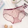 Lace Underwear Lingerie for Women Transparent Sexy Panties