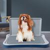 Dog Toilet Anti Splashing Removable Lattice Puppy Potty Tray with Urinary Column Pet Training