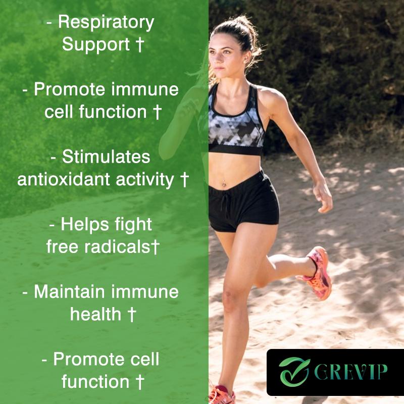 GREVIP - Vitamin C & 1000mg Elderberry Blend Capsules - Immune System Health