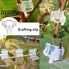 Garden Flower Plant Vine Seedlings Grafted Branches Clip Connector Fasteners Plastic Clips Garden Migration Tool