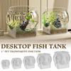 Прозрачный круглый настольный аквариум из ПЭТ для черепахи Betta, устойчивый к чистоте, гидропонный Sh O4O2