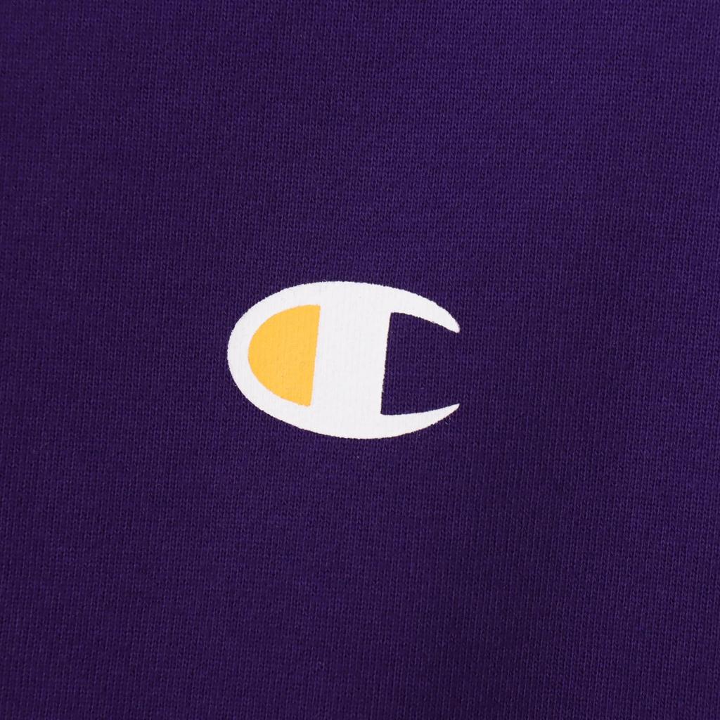 Champion Long Sleeve Cotton USA Script Logo Hooded Deep Size Men's Sweatshirt, Purple, L, C3-A127
