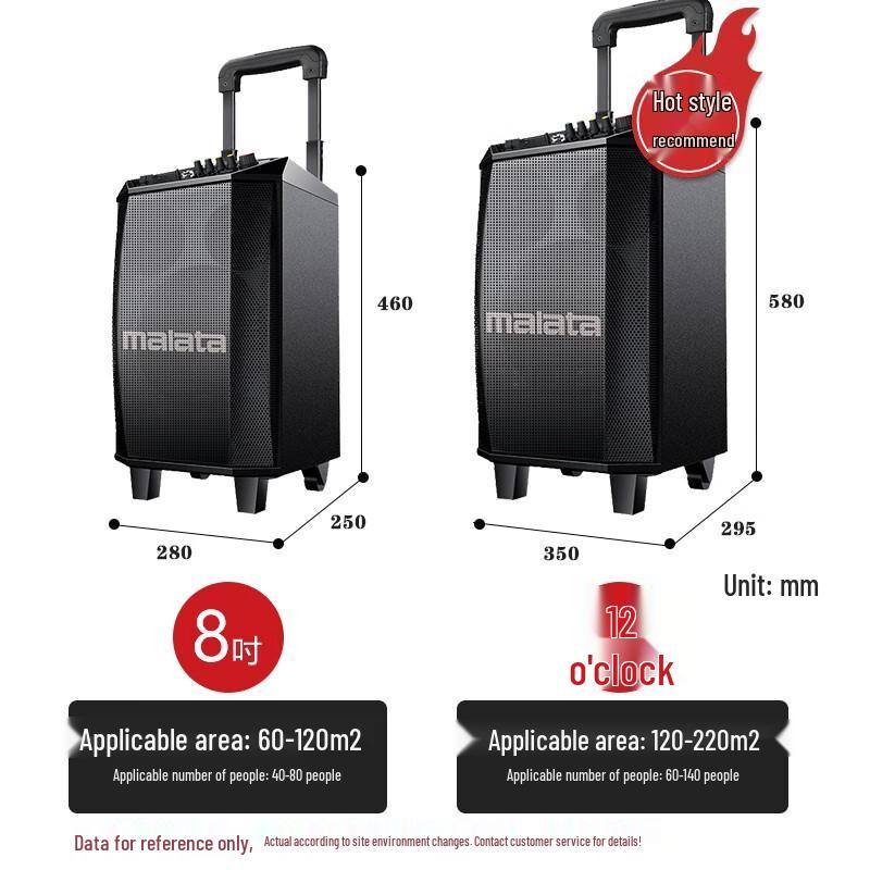 Wanlida M+9017C 12-inch Outdoor Trolley Bluetooth Speaker