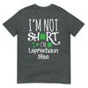 Funny Leprechan Size St Patricks Day Unisex Unisex TShirt