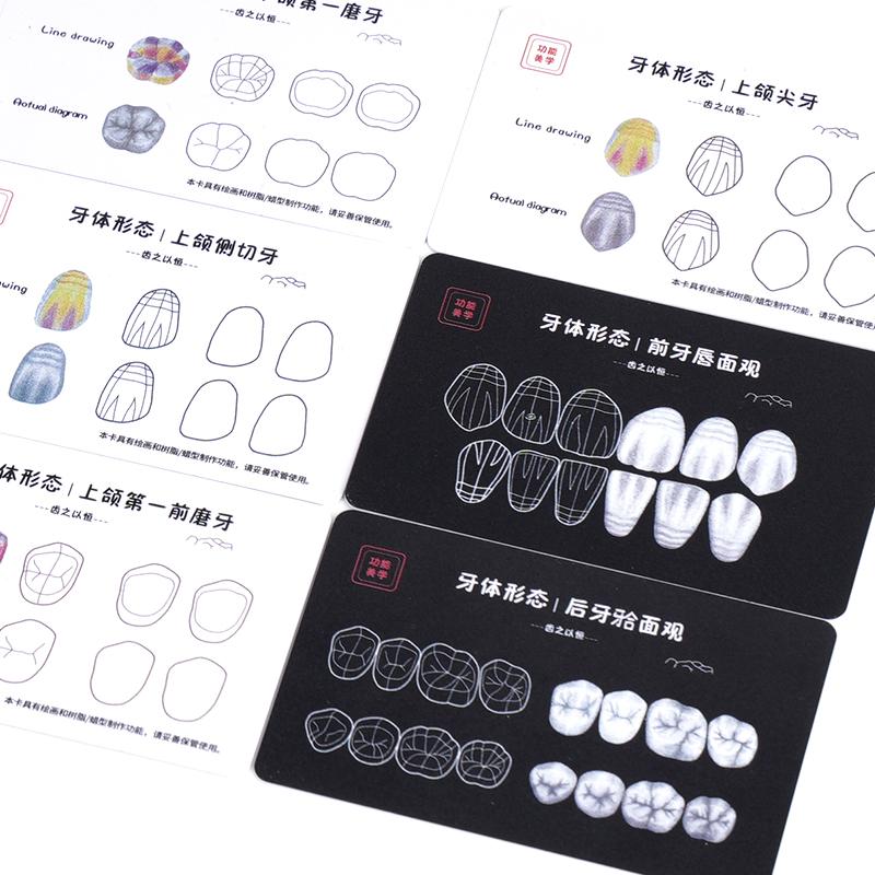 9Pcs Dental Composite Resin Filling Template Teeth Anatomical Model Board Build Up Restoration Cavity Practice