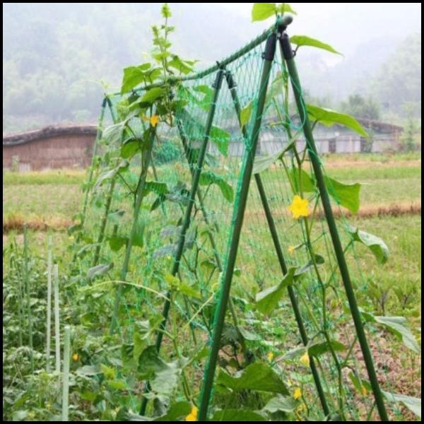 Green Mesh 0.9x1.8m Support for Climbing Plants, Vines, Ladder