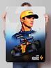 Ландо Норрис Постеры гонщика F1 Гонки Металлические таблички Украшение игровой комнаты Пользовательские жестяные таблички для настенного декора Ретро декор