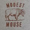 Modest Mouse Серая футболка Bitter Buffalo E345