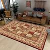 Vintage Persian Area Rug Bohemian Oriental Non-Slip Washable Carpet for Living Room, Bedroom, Home Decor