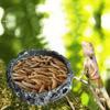 Миска для корма и воды для рептилий, кормушка для мучных червей, маленькие неглубокие смоляные миски