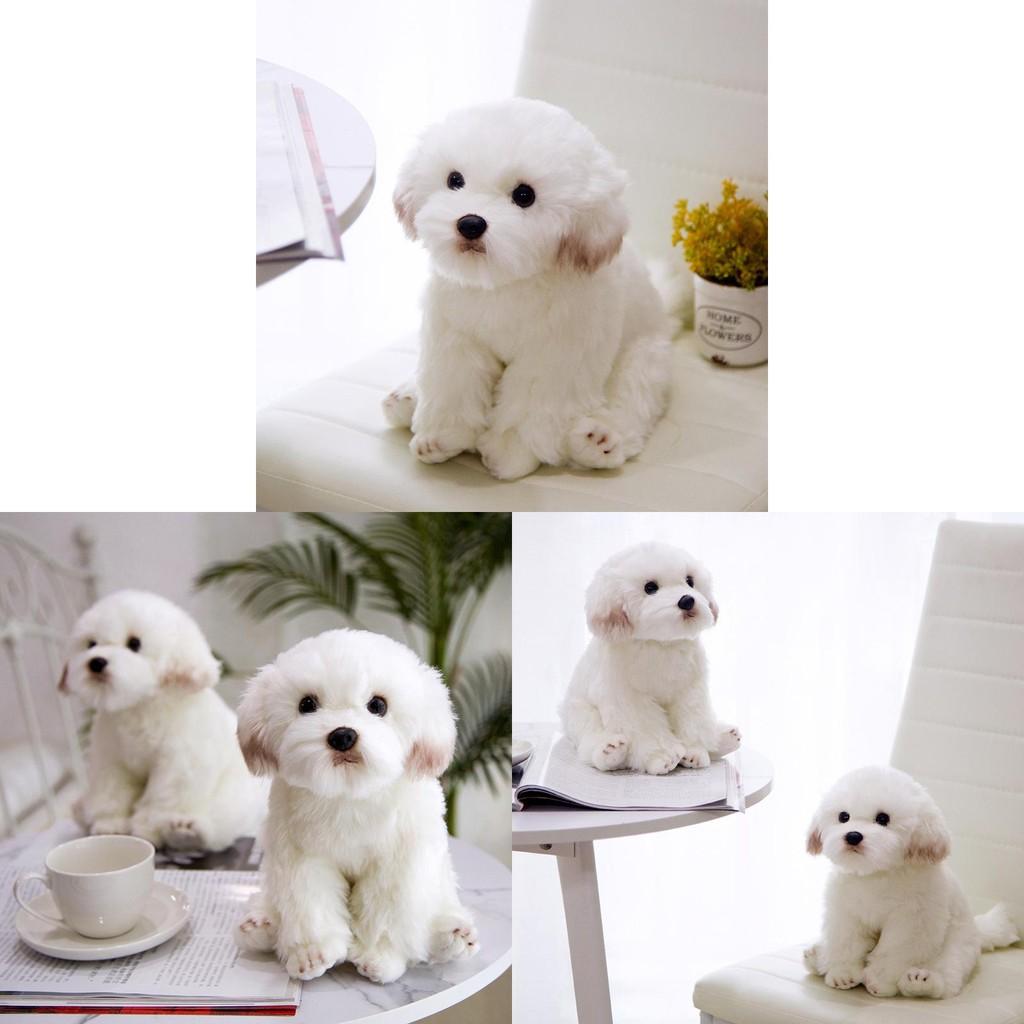 Плюшевая игрушка собака мальтийская болонка, животное, мягкая кукла, украшение для дома, спальни, подарок для детей