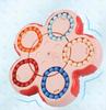 Волшебный кубик Детская головоломка Двусторонний шар Шестистороннее вращение Взаимодействие Волшебные бобы Снятие стресса Интеллект Пальчиковый волчок Переворот