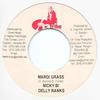 7inch Record NICKY B, DELLY RANKS / RED SQUARE - Mardi Grass / Everyday  NONE 13th Tribe Prod 2005 Jamaica Reggae, Ska & Dub Used