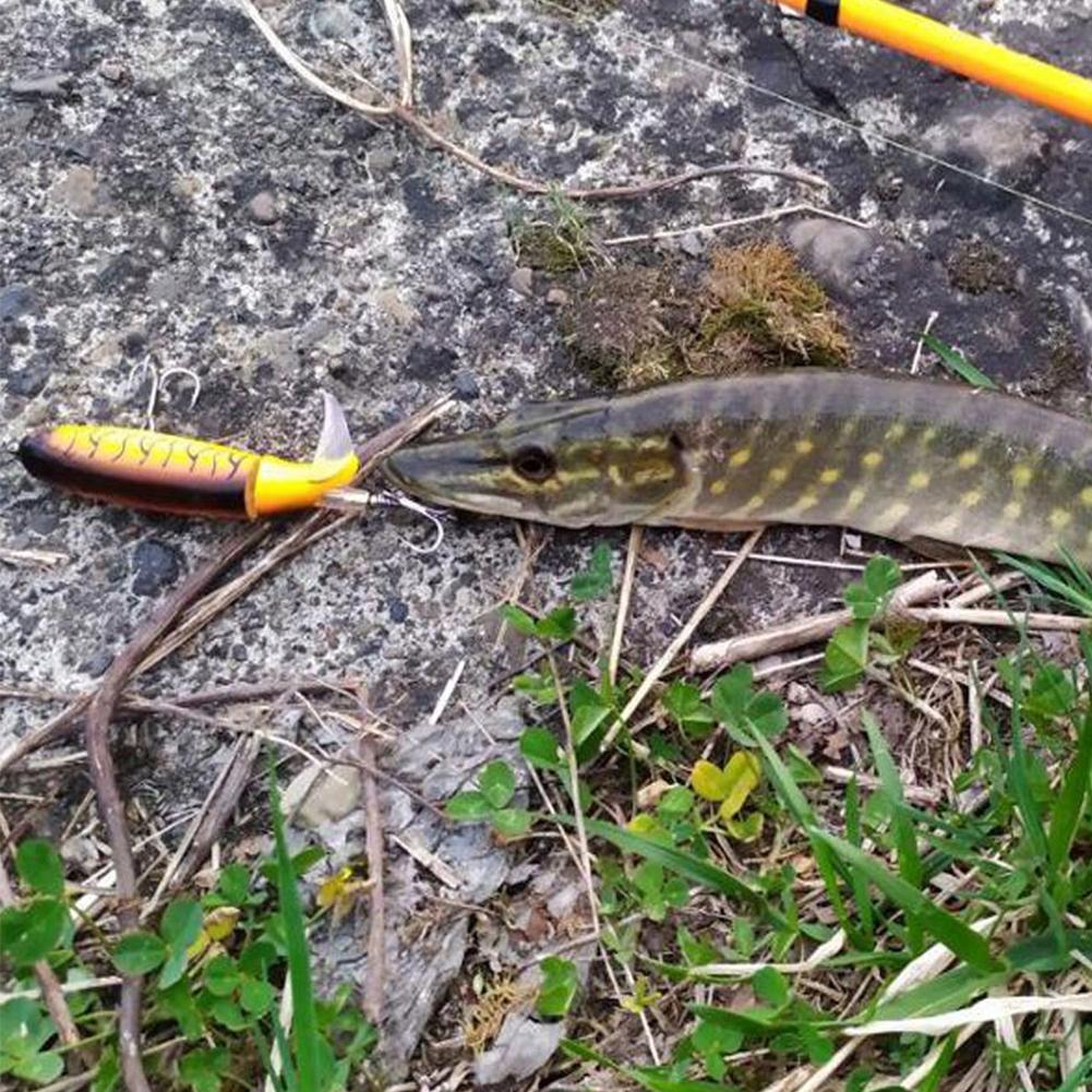 Popper Flopper Whopper Catfish Pike Zander 04