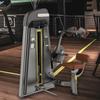 Power Wings Commercial Abdominal Trainer