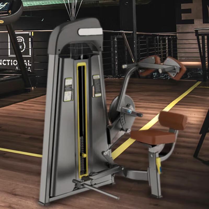 Power Wings Commercial Abdominal Trainer