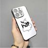Чехол для телефона с картой Пенджаба для IPhone 16,15,14,13,12,11,XS,XR,X,8,7,Pro,Max,Plus,mini Силиконовый Черный Чехол