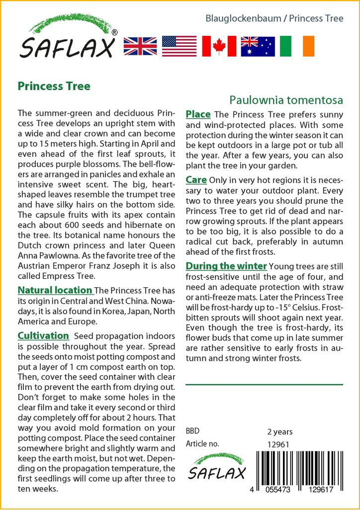 SAFLAX Подарочный набор - Дерево принцессы - 200 семян - С подарочной коробкой, карточкой, этикеткой и субстратом для горшков - Paulownia tomentosa