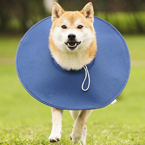 Ошейник для домашних животных Мягкий удобный анти-лизание против укусов Прохладный абсорбент Регулируемый дышащий сетчатый ошейник для восстановления собак для послеоперационного заживления